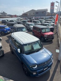 今週末も展示会開催します！